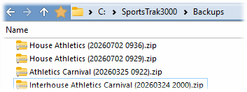 The same carnival saved at a different time The same carnival saved at a different time
