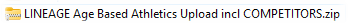 ZipFile